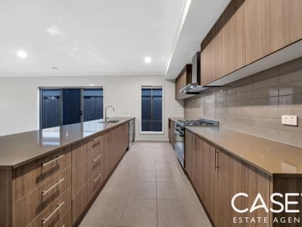 68 Haflinger Avenue, Clyde North - Thumbnail 4