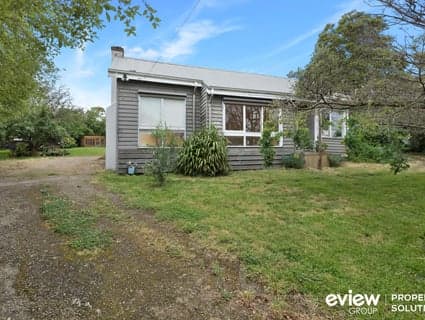 104 Herbert Street, Mornington - Thumbnail 5