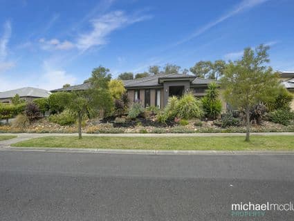 12 Black Sheoak Place, Langwarrin - Thumbnail 3