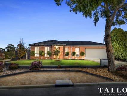 404, Hastings - Image 1