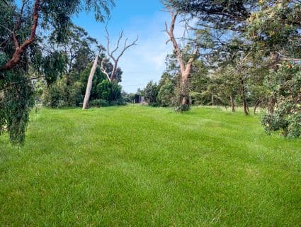 316 Canadian Bay Road, Mount Eliza - Thumbnail 3