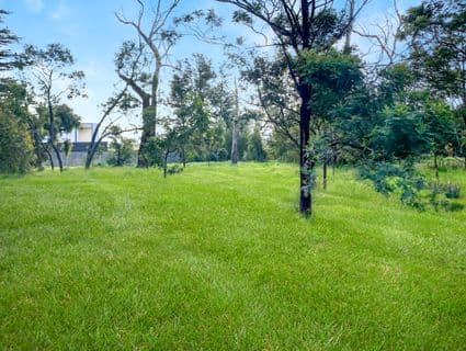 316 Canadian Bay Road, Mount Eliza - Thumbnail 5
