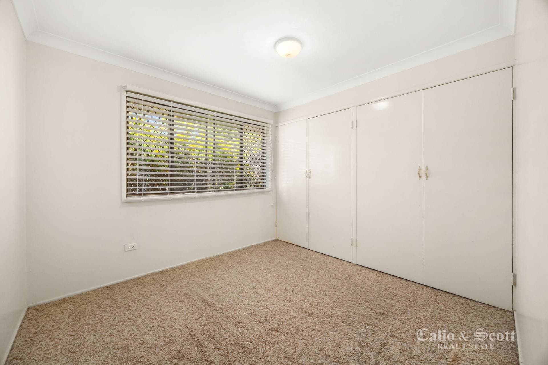 151 Saul Street, Brighton, QLD, Brighton - Thumbnail 8