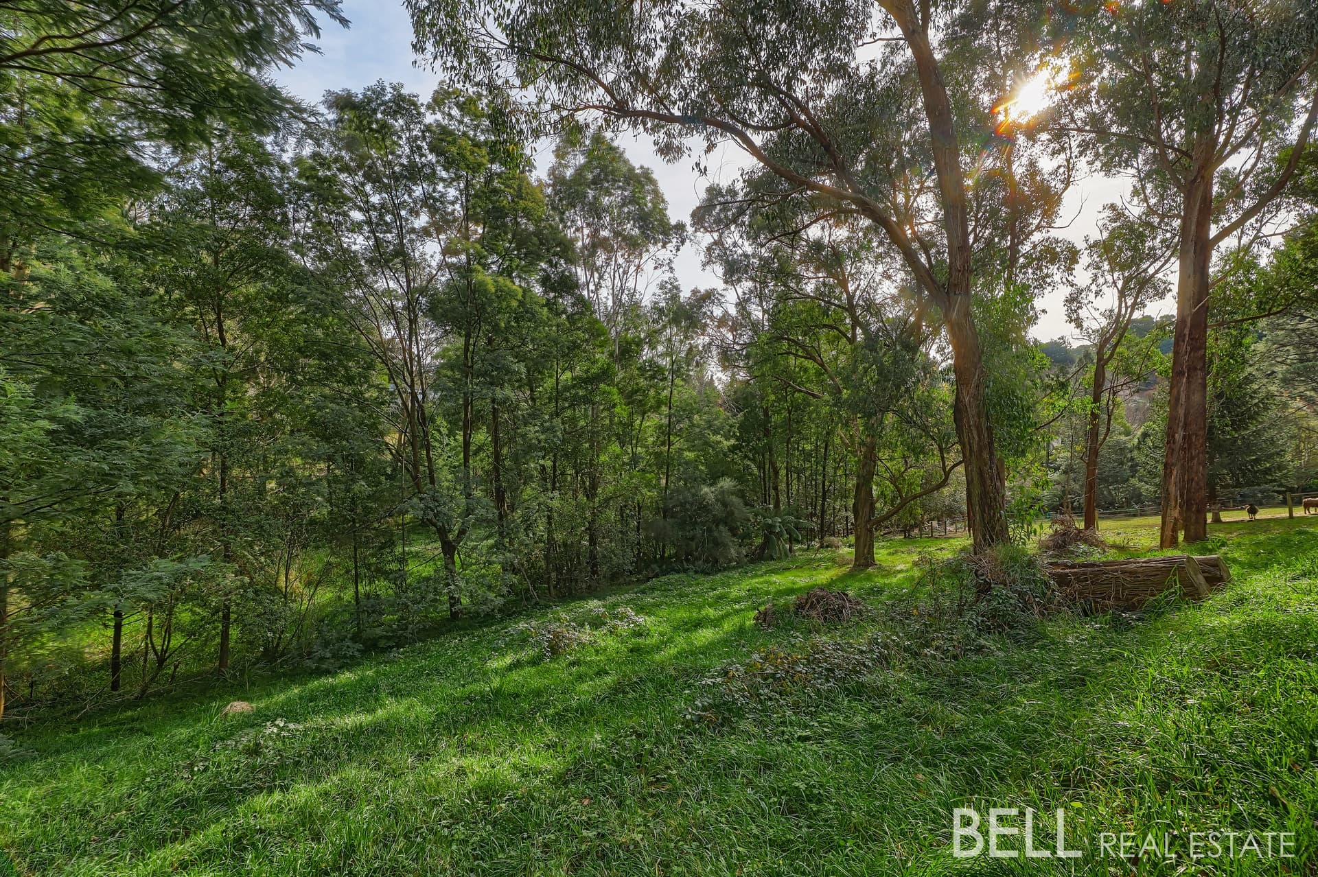 7 Brookdale Avenue, EMERALD, Emerald - Image 1