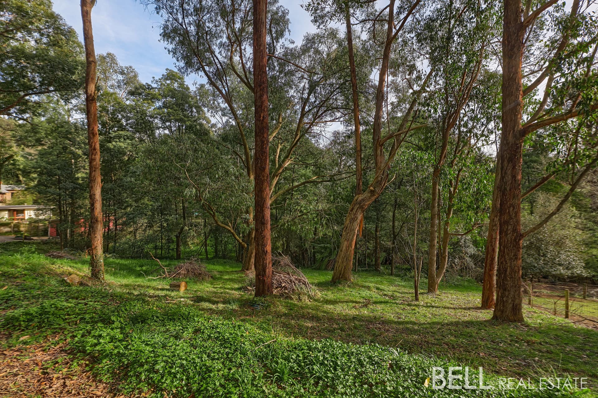 7 Brookdale Avenue, EMERALD, Emerald - Thumbnail 2