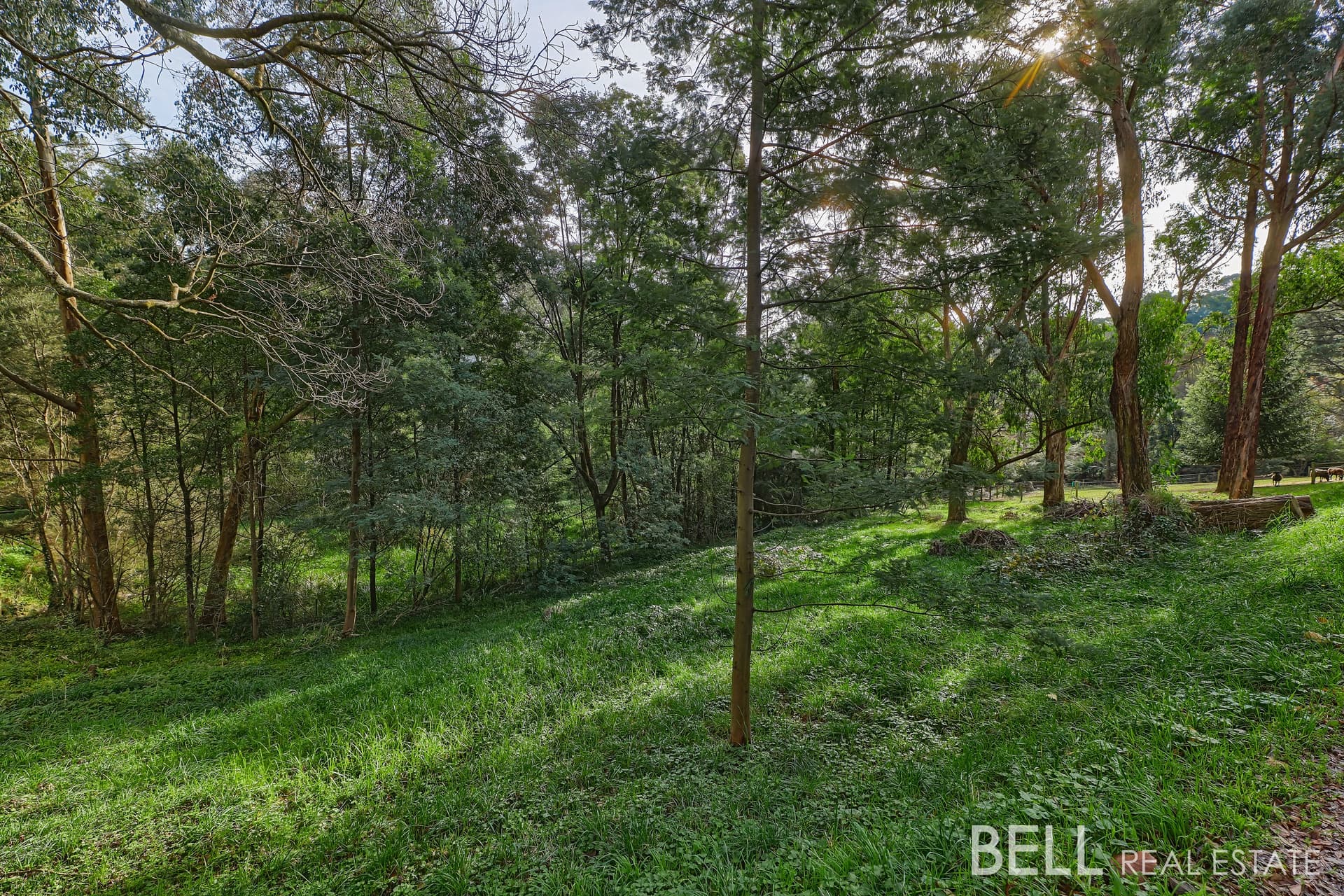 7 Brookdale Avenue, EMERALD, Emerald - Thumbnail 4