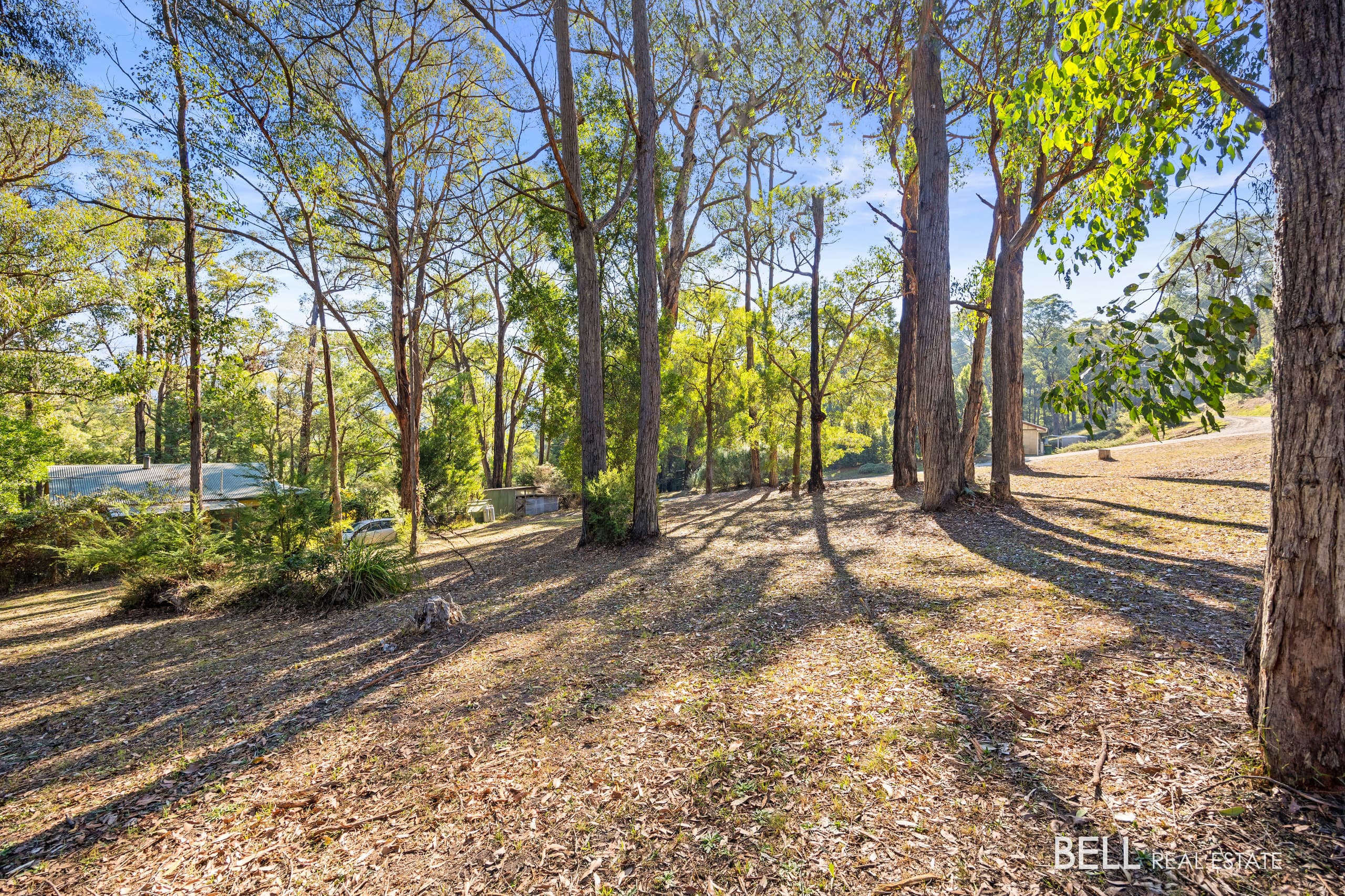 27 Yarra Valley Crescent, EAST WARBURTON, East Warburton - Thumbnail 4