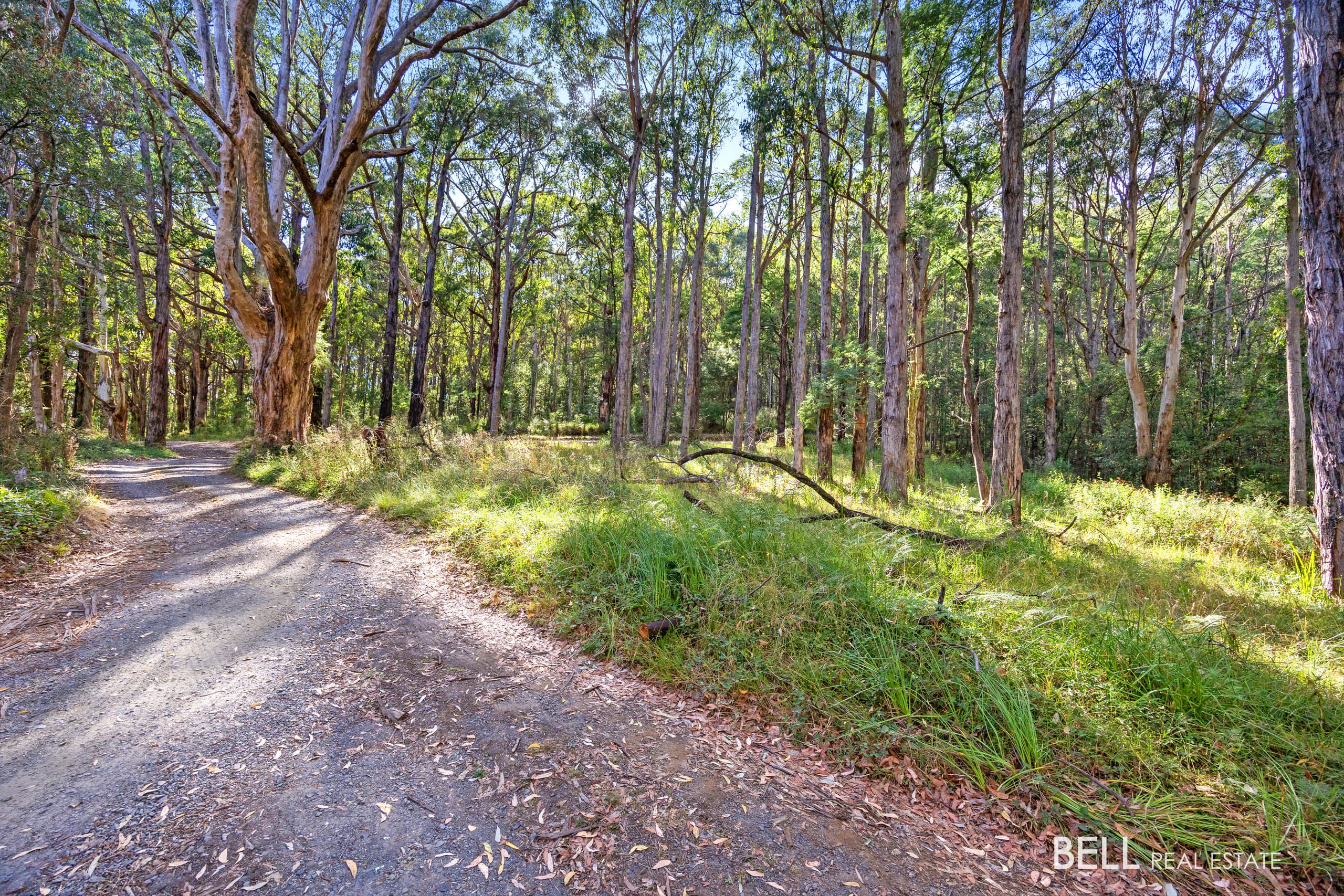 400 Old Warburton Road, WARBURTON, Warburton - Thumbnail 2