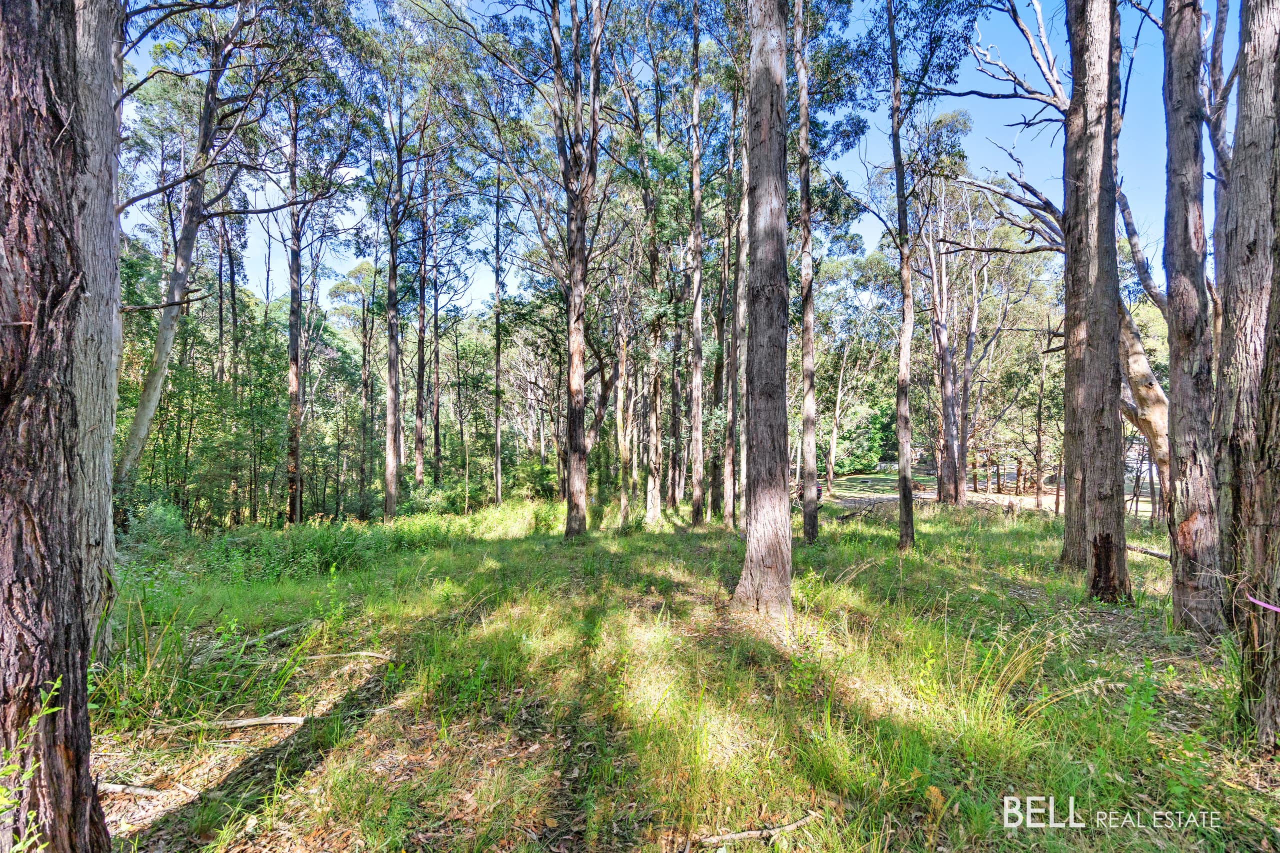 400 Old Warburton Road, WARBURTON, Warburton - Thumbnail 5