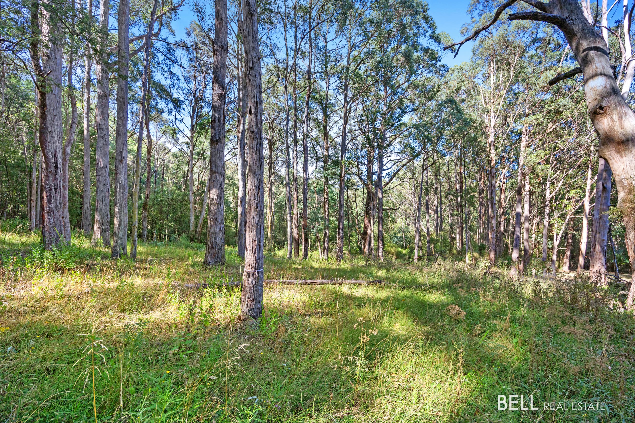 400 Old Warburton Road, WARBURTON, Warburton - Thumbnail 7
