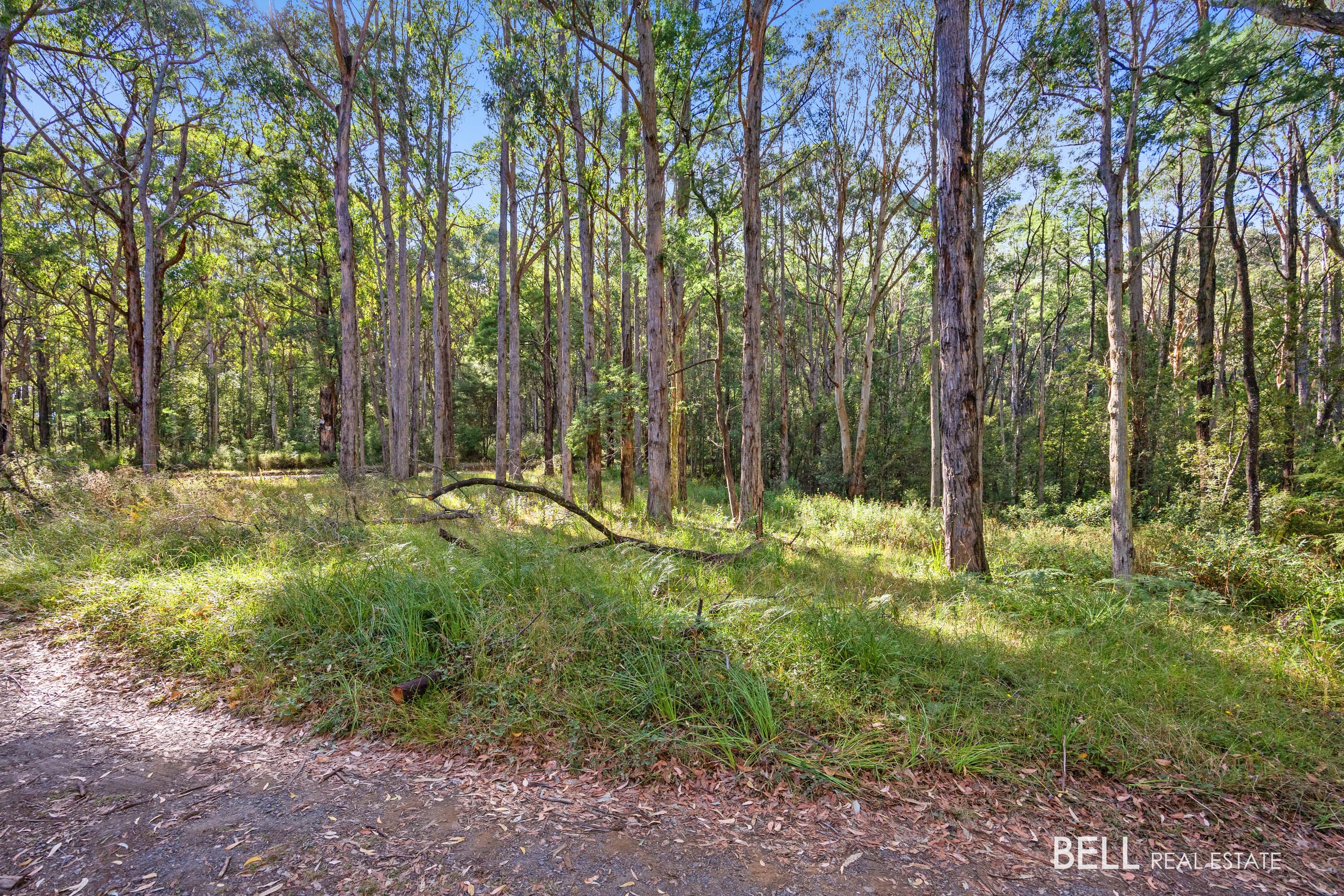 400 Old Warburton Road, WARBURTON, Warburton - Thumbnail 8