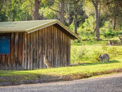 3/111 Widgeram Road, Bournda - Thumbnail 3