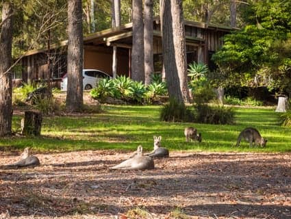3/111 Widgeram Road, Bournda - Thumbnail 4