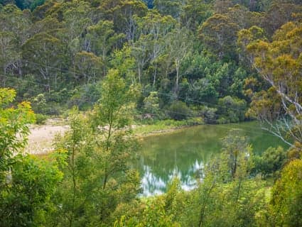 1171 Princes Highway, Kiah - Thumbnail 2