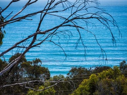 11 Weemilah Drive, Pambula Beach - Thumbnail 3