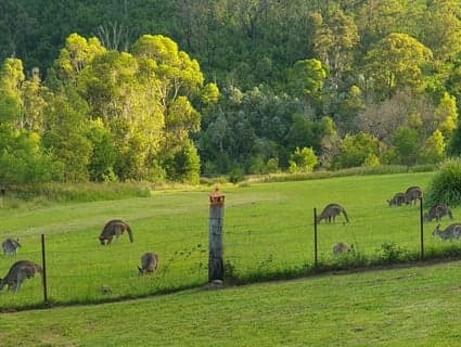 2903 Mount Darragh Road, Wyndham - Thumbnail 3