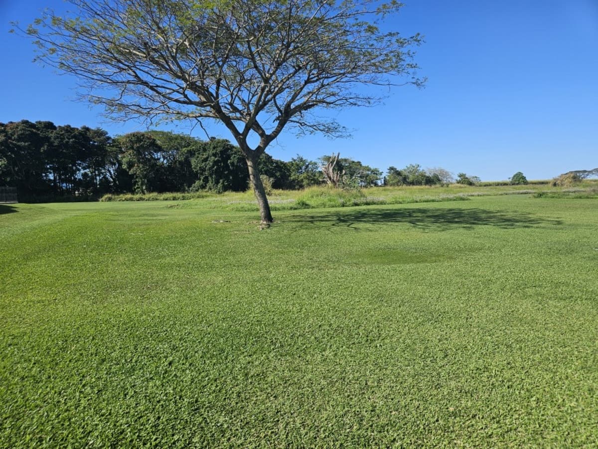 58 Origlasso Street, Ingham, QLD, Ingham - Thumbnail 3