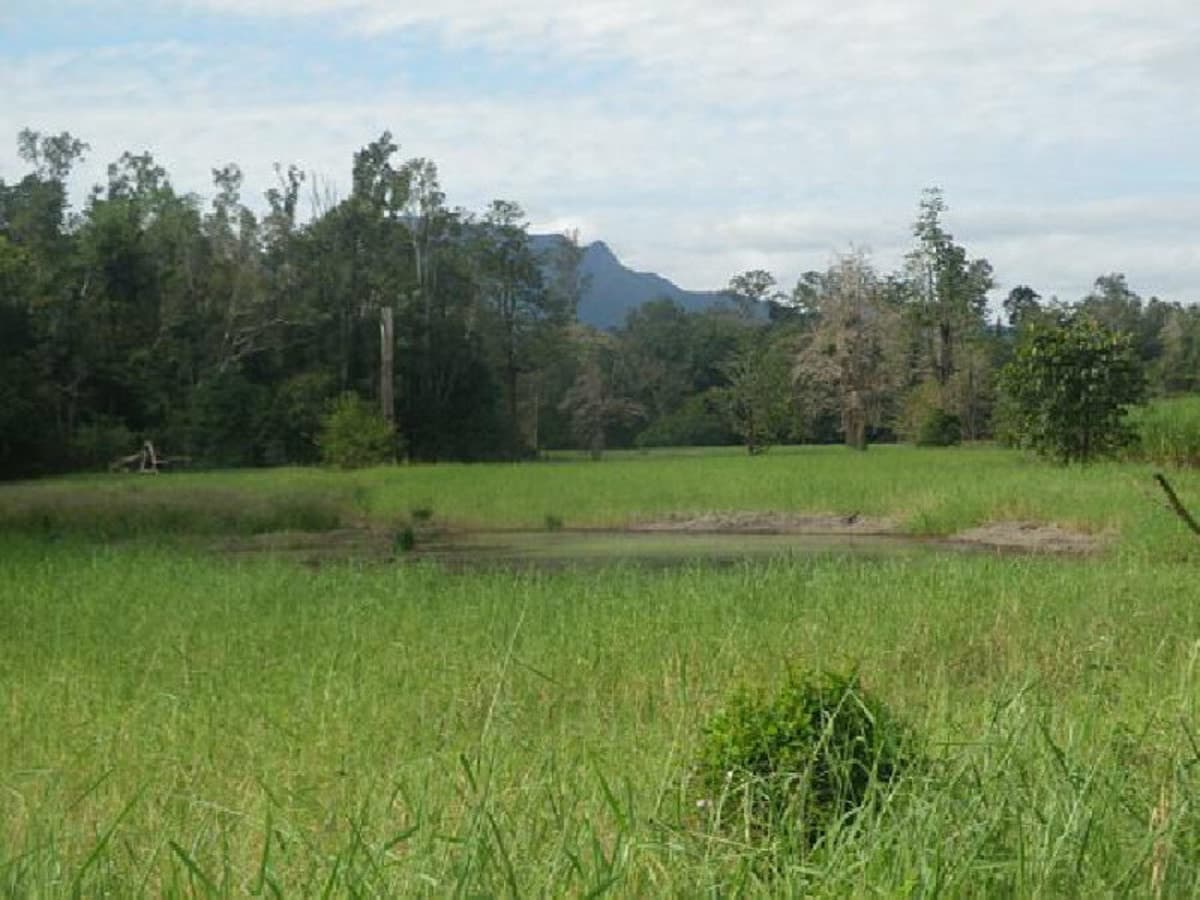 11 Coldwater Road, Abergowrie, QLD, Abergowrie - Thumbnail 3