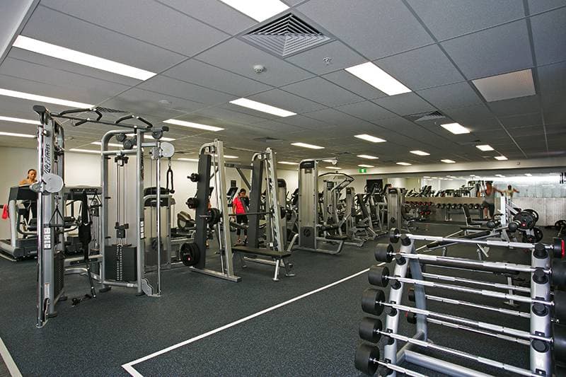 409, 8 Park Lane, Chippendale - Thumbnail 4