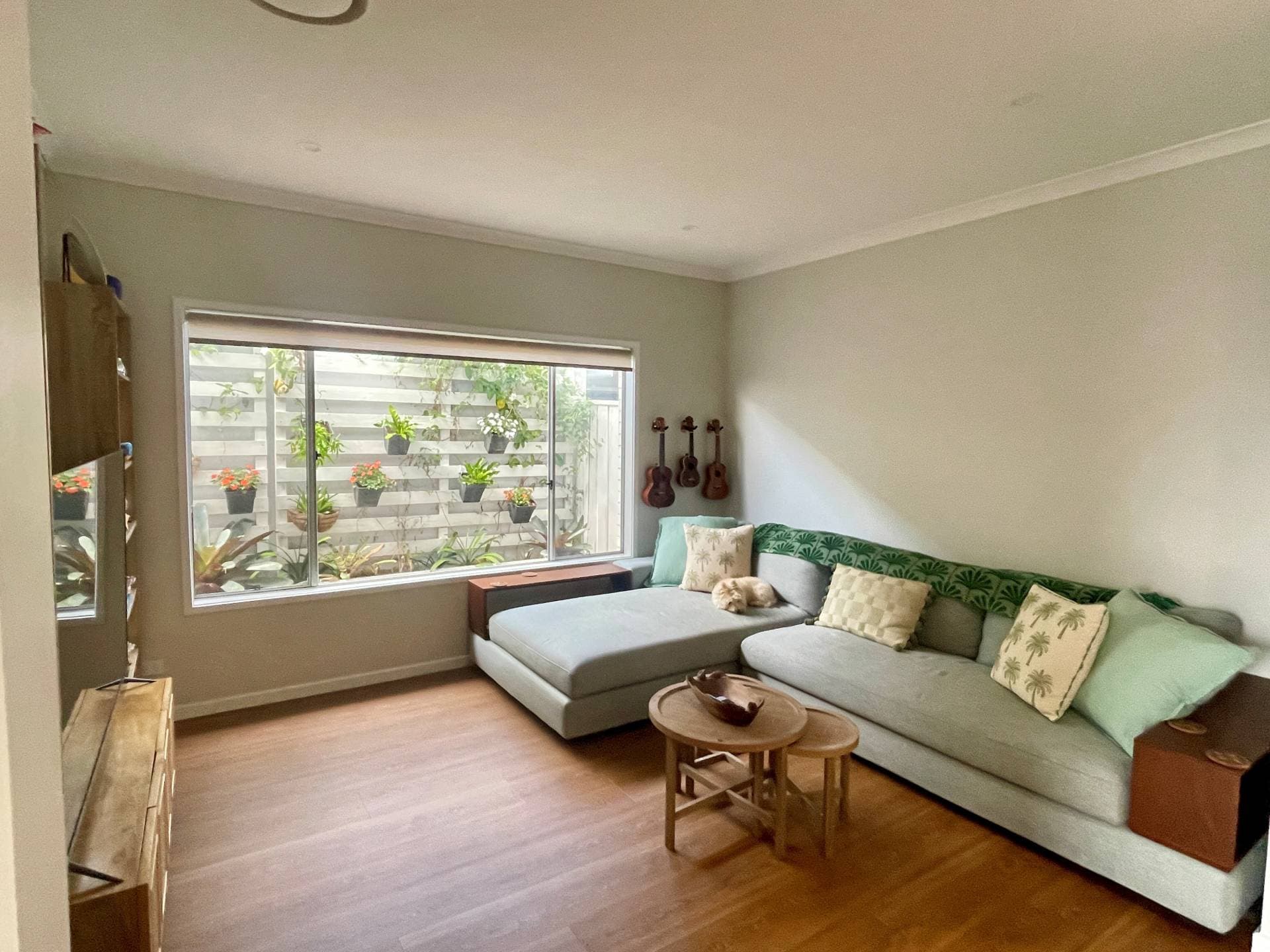 54 Legato Terrace, Palmview QLD 4553, Palmview - Thumbnail 5