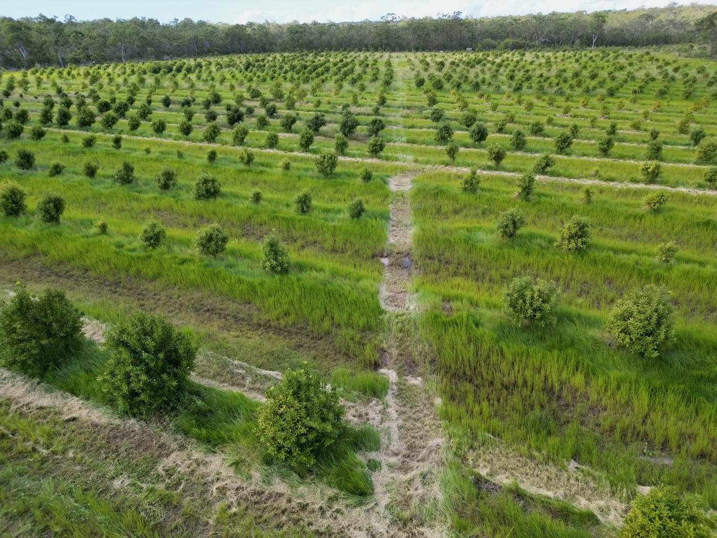 Lot 17 Rices Road, Howard QLD 4659, Howard - Image 1