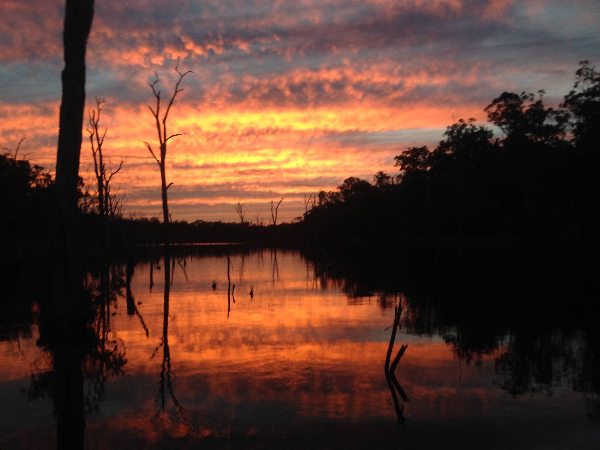 Lot 17 Rices Road, Howard QLD 4659, Howard - Thumbnail 6