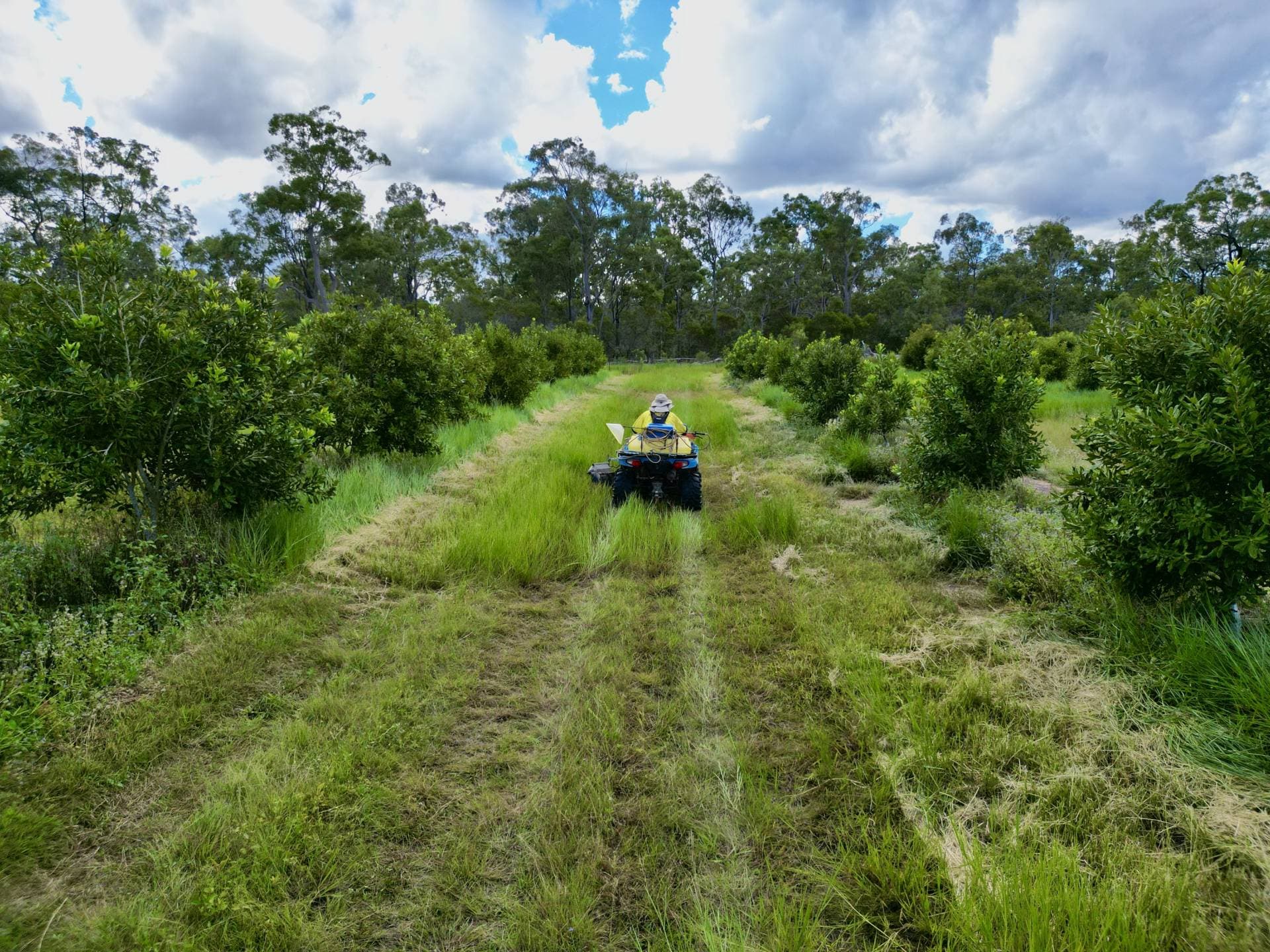 Lot 17 Rices Road, Howard QLD 4659, Howard - Thumbnail 8