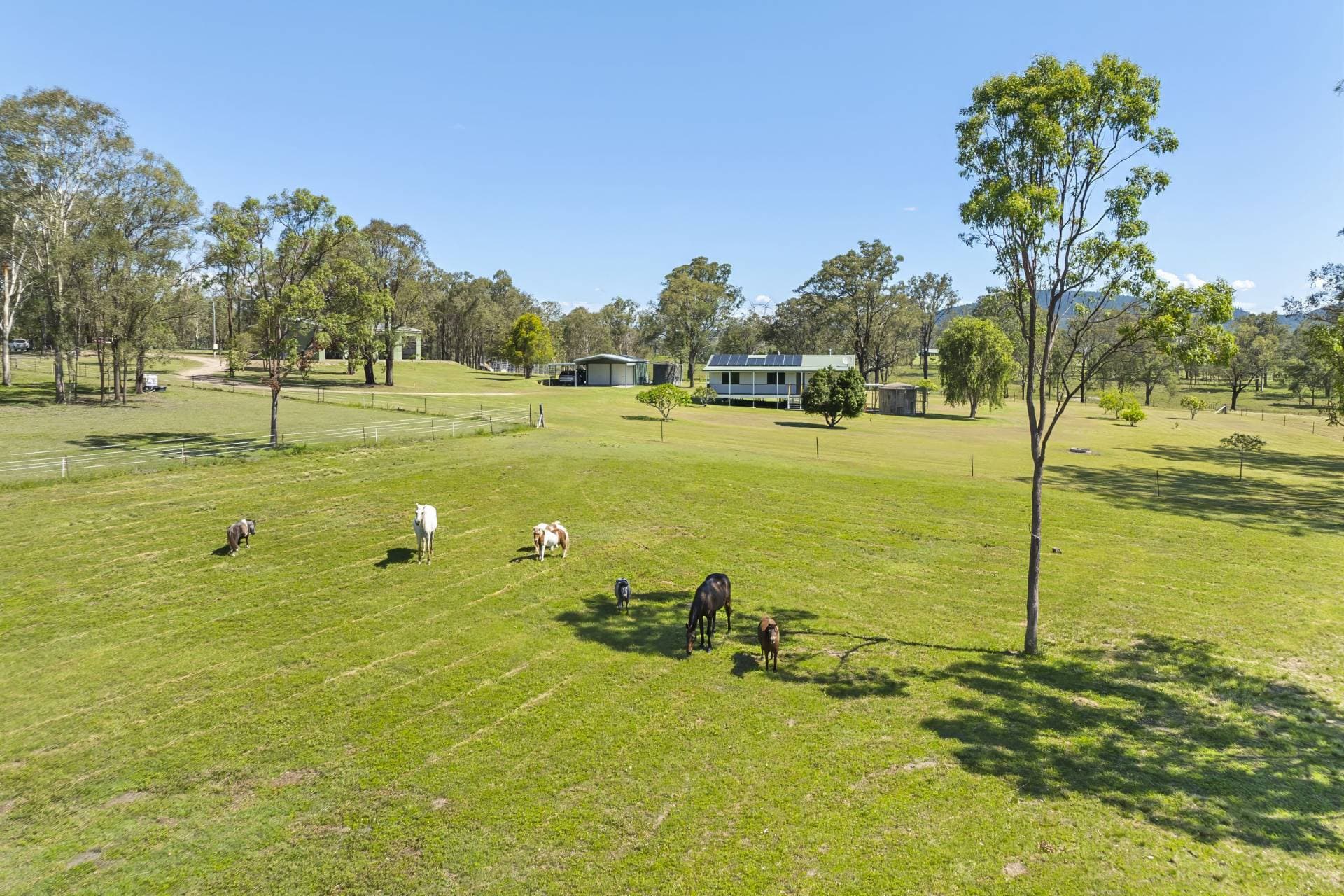 456 Abel Rd, Lower Wonga QLD, Lower Wonga - Thumbnail 6