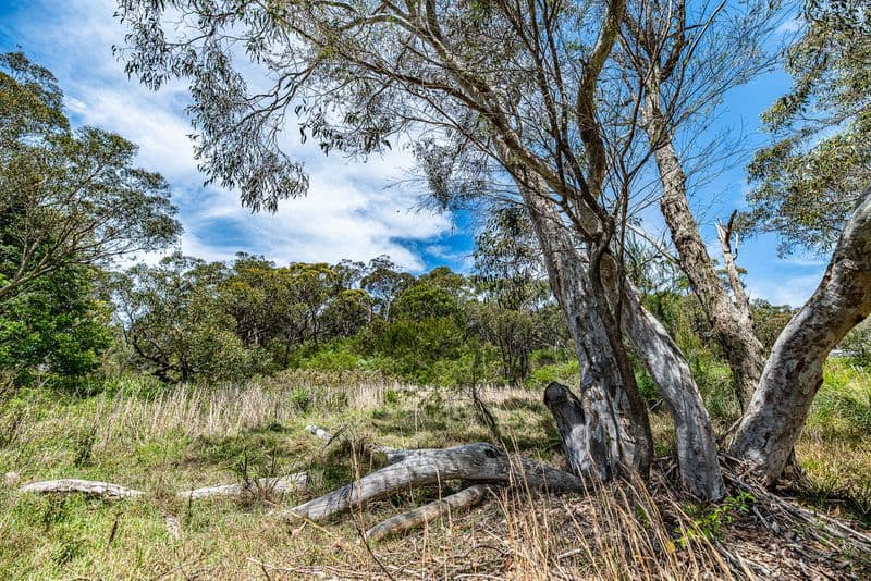 12/36 Village Drive, Breakfast Point, Haberfield - Thumbnail 8