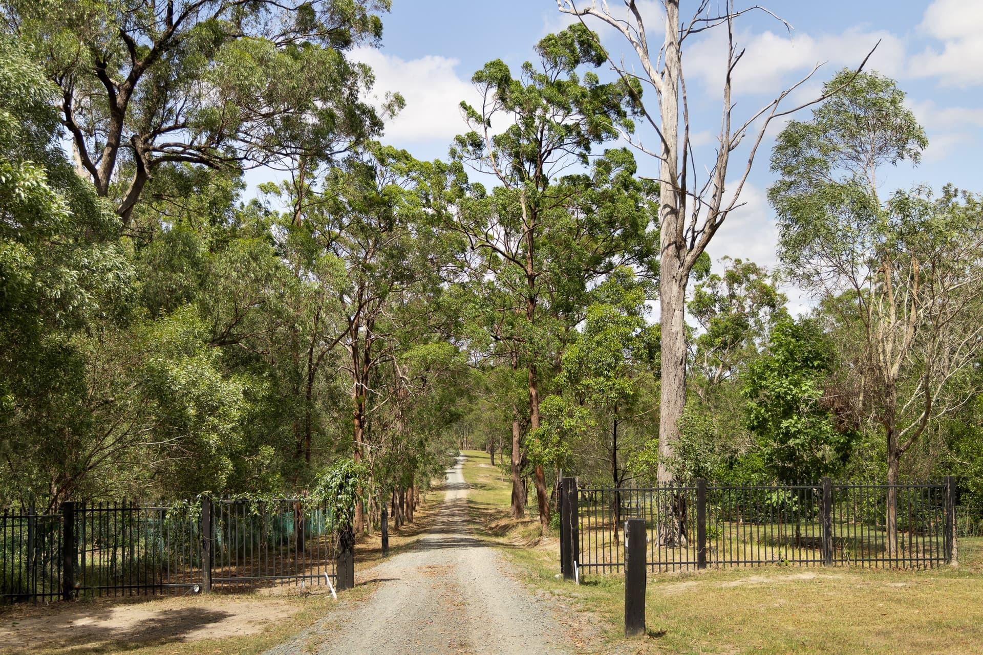 0369/435 Ford Road, Priestdale QLD 4127, Priestdale - Thumbnail 3