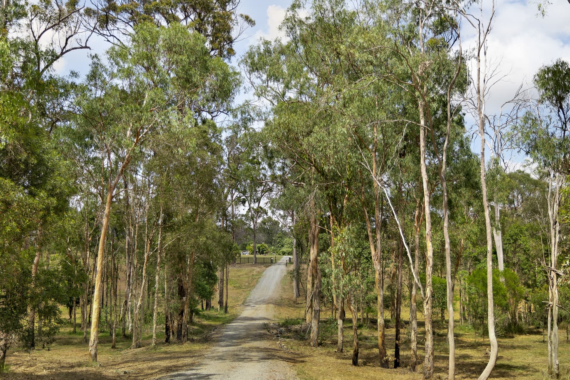 0369/435 Ford Road, Priestdale QLD 4127, Priestdale - Thumbnail 5