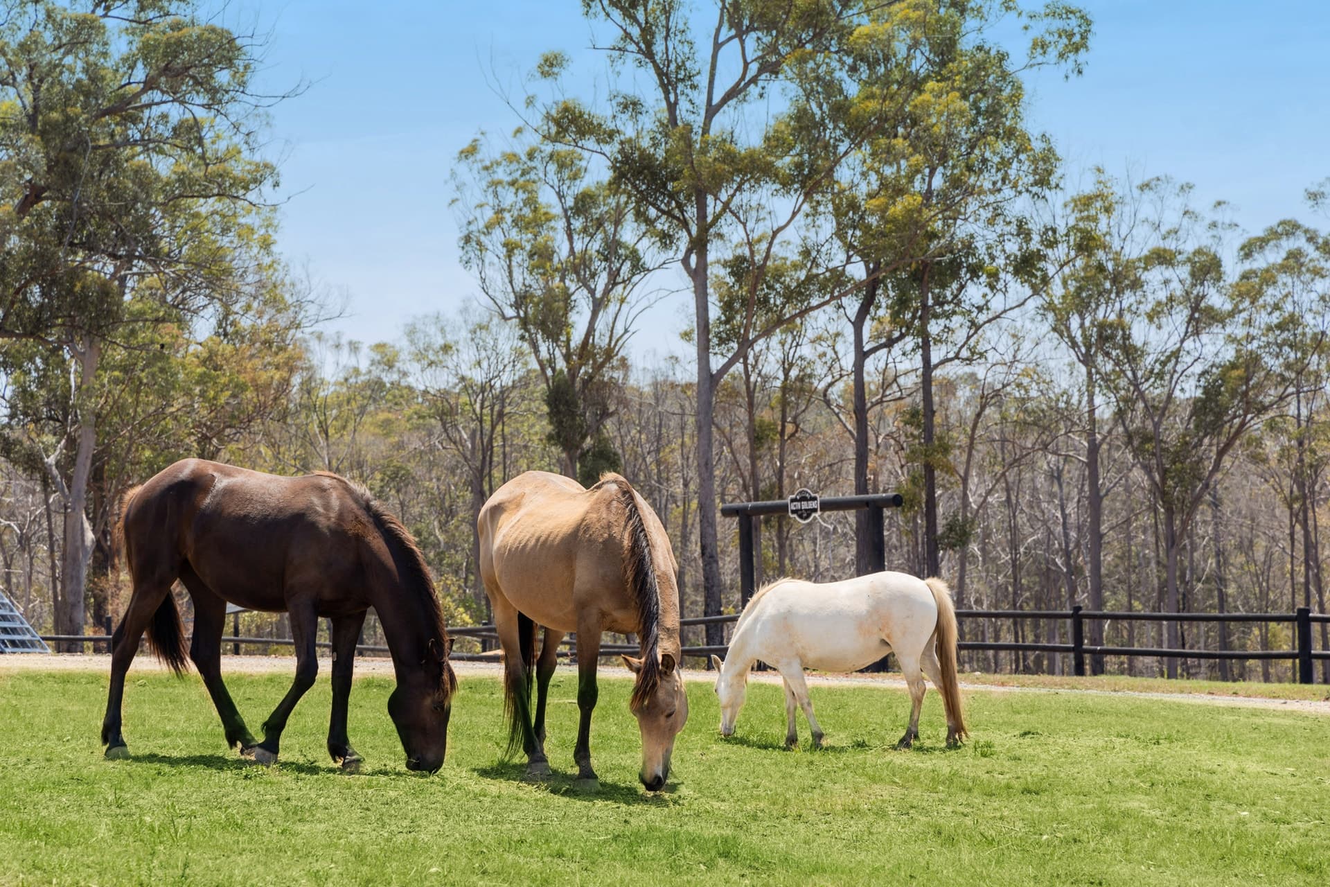 0369/435 Ford Road, Priestdale QLD 4127, Priestdale - Thumbnail 6