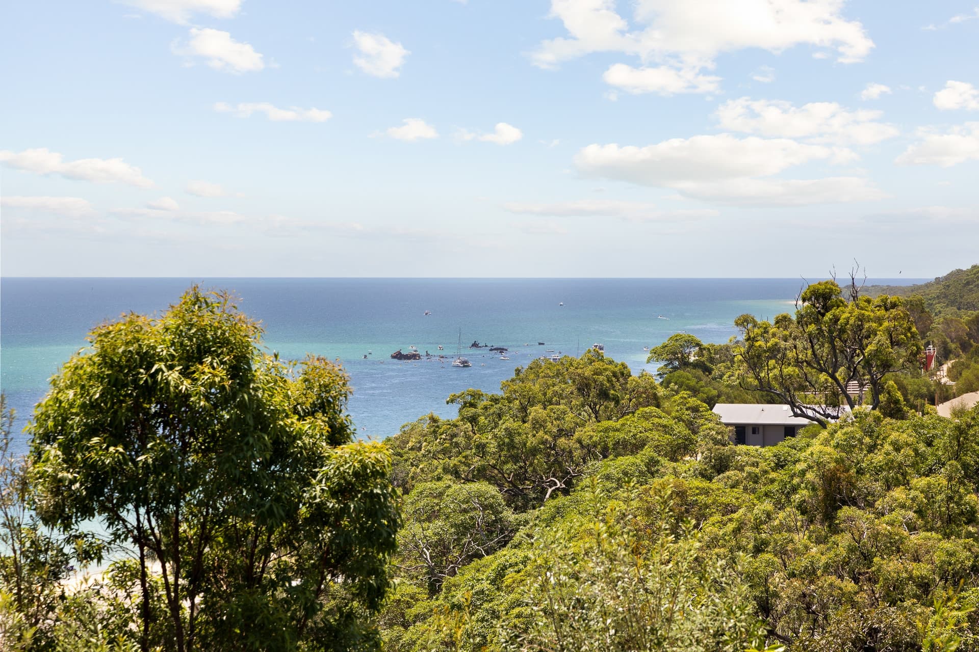0316/6 Trochus Place, Tangalooma QLD 4025, Tangalooma - Thumbnail 3