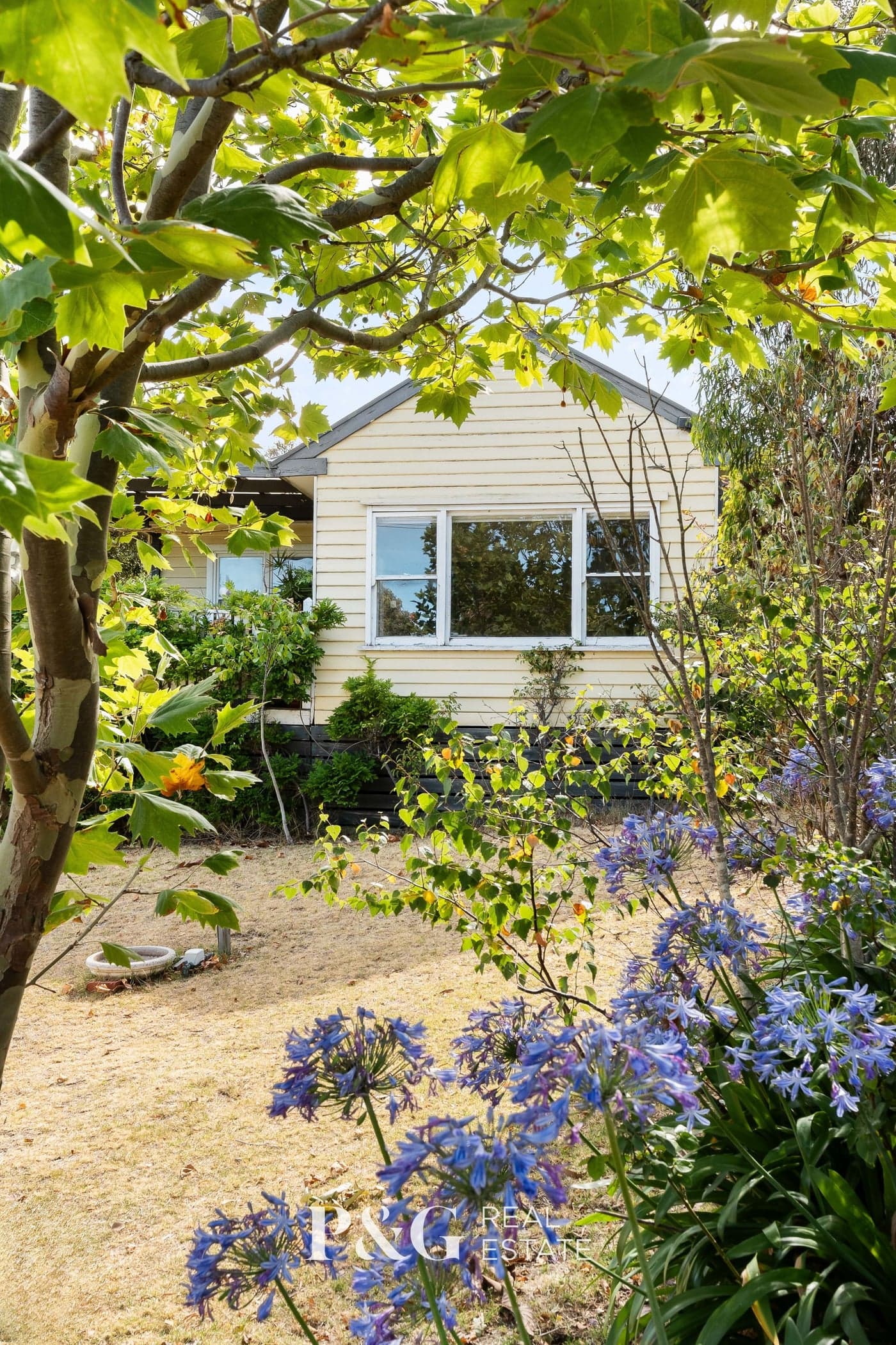 4 Anne Court, Tootgarook - Thumbnail 2
