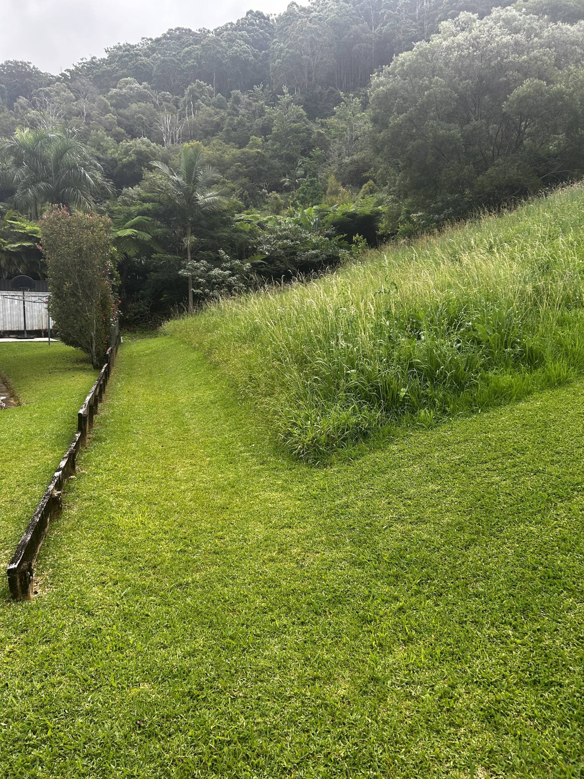 8 Gallagher Pl, Coffs Harbour - Thumbnail 2