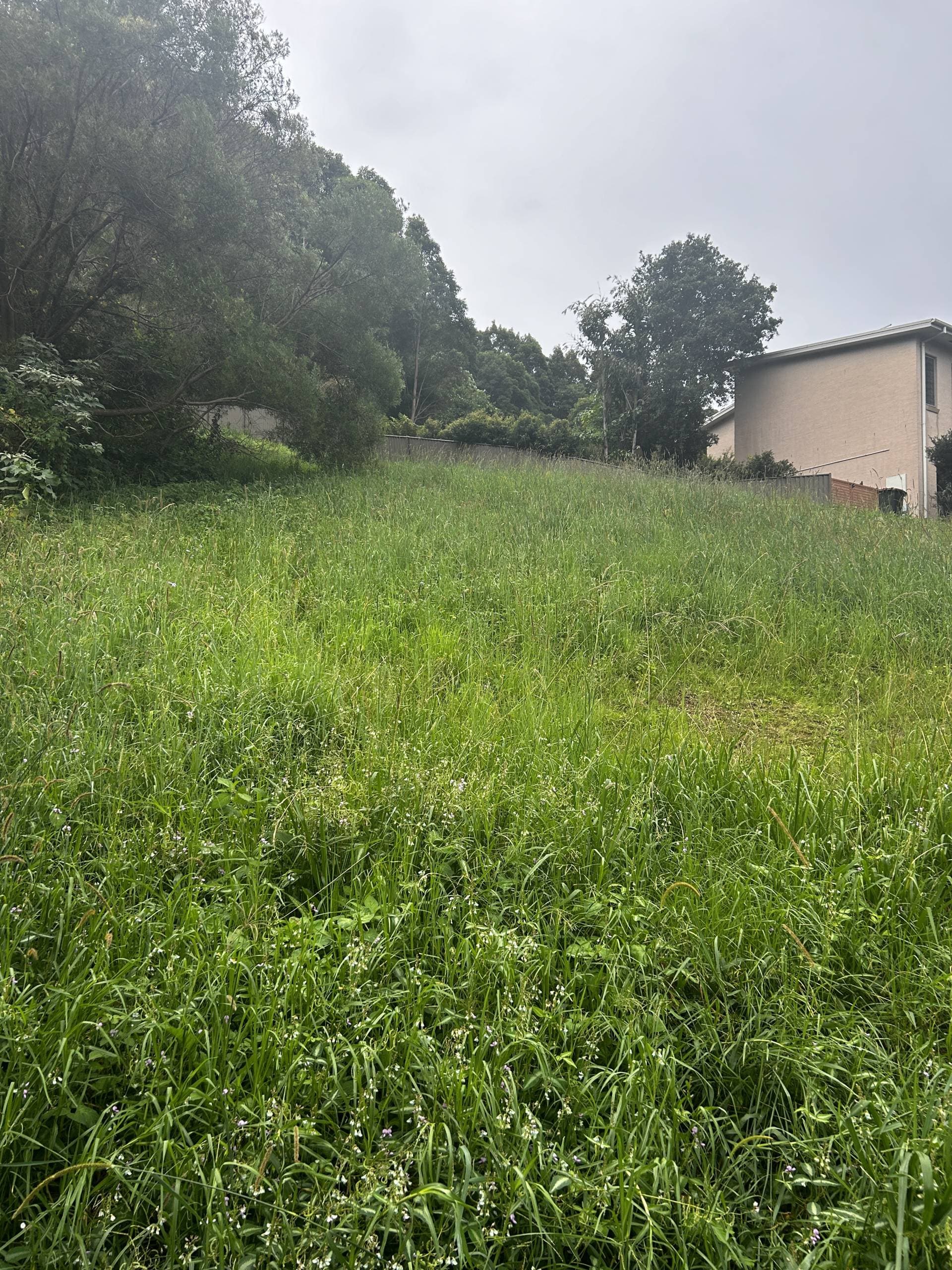 8 Gallagher Pl, Coffs Harbour - Thumbnail 3
