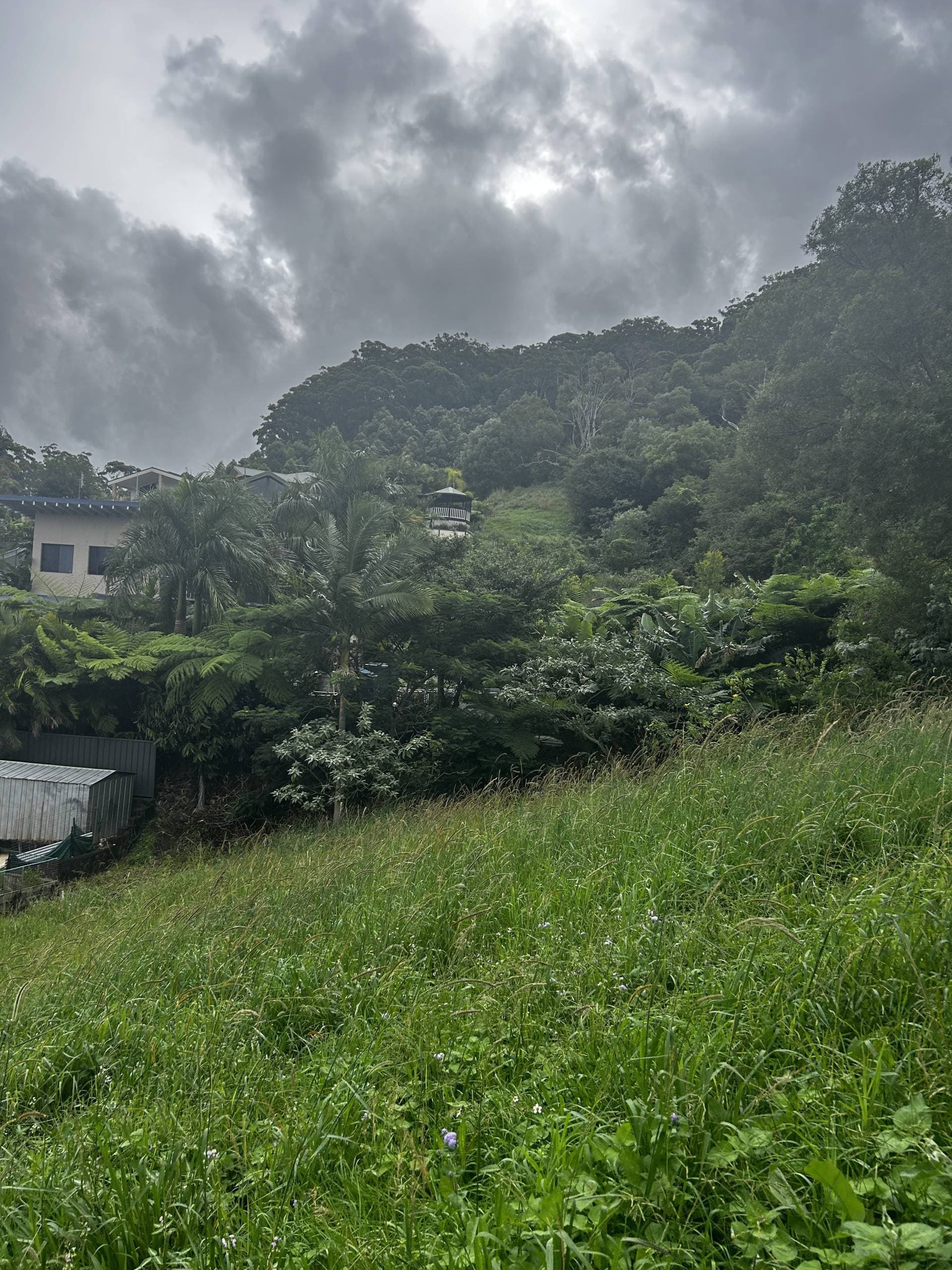 8 Gallagher Pl, Coffs Harbour - Thumbnail 7