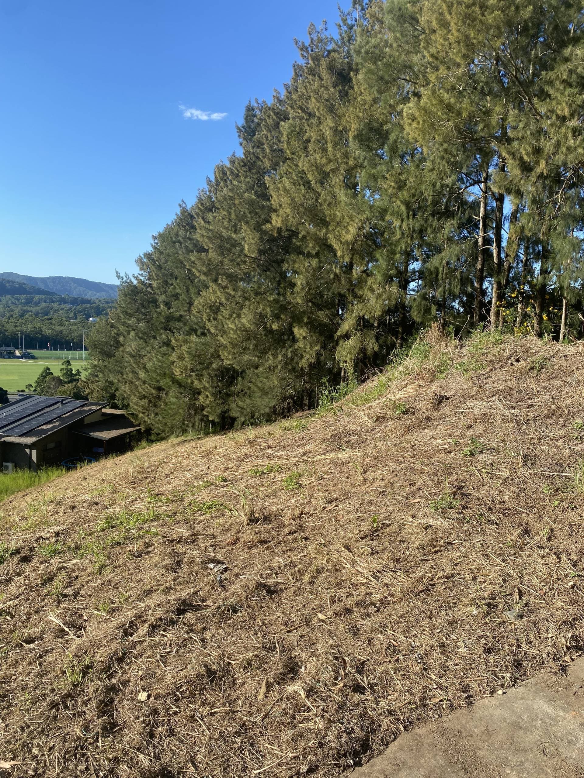 51 Song Trail, Coffs Harbour - Thumbnail 6