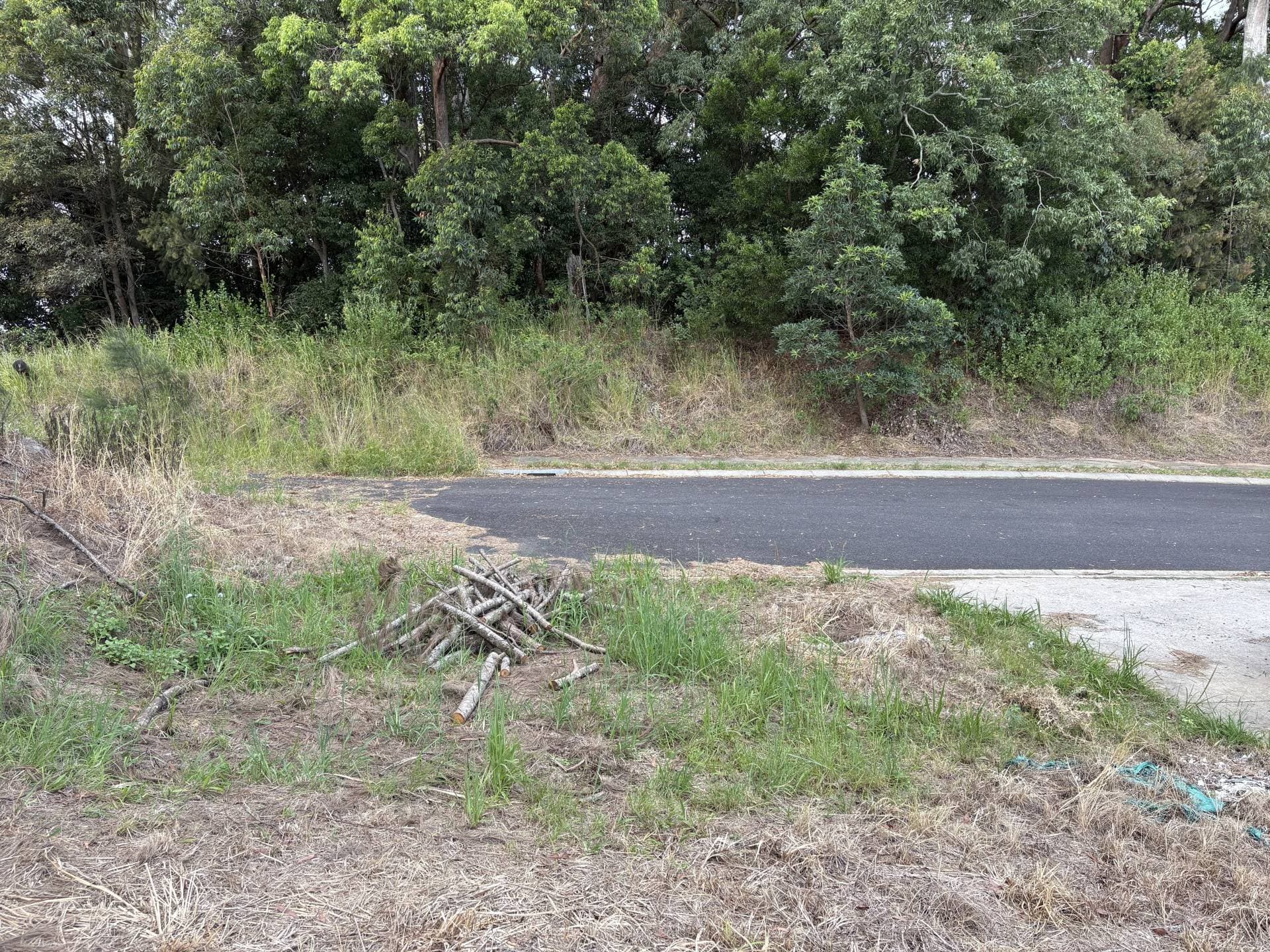 51 Song Trail, Coffs Harbour - Thumbnail 8