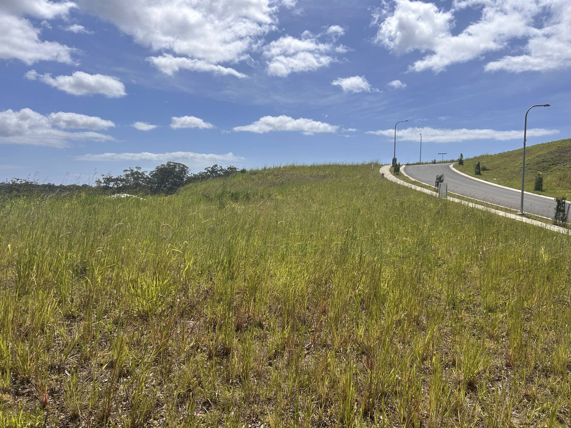 15 Song Trl, Coffs Harbour - Thumbnail 8
