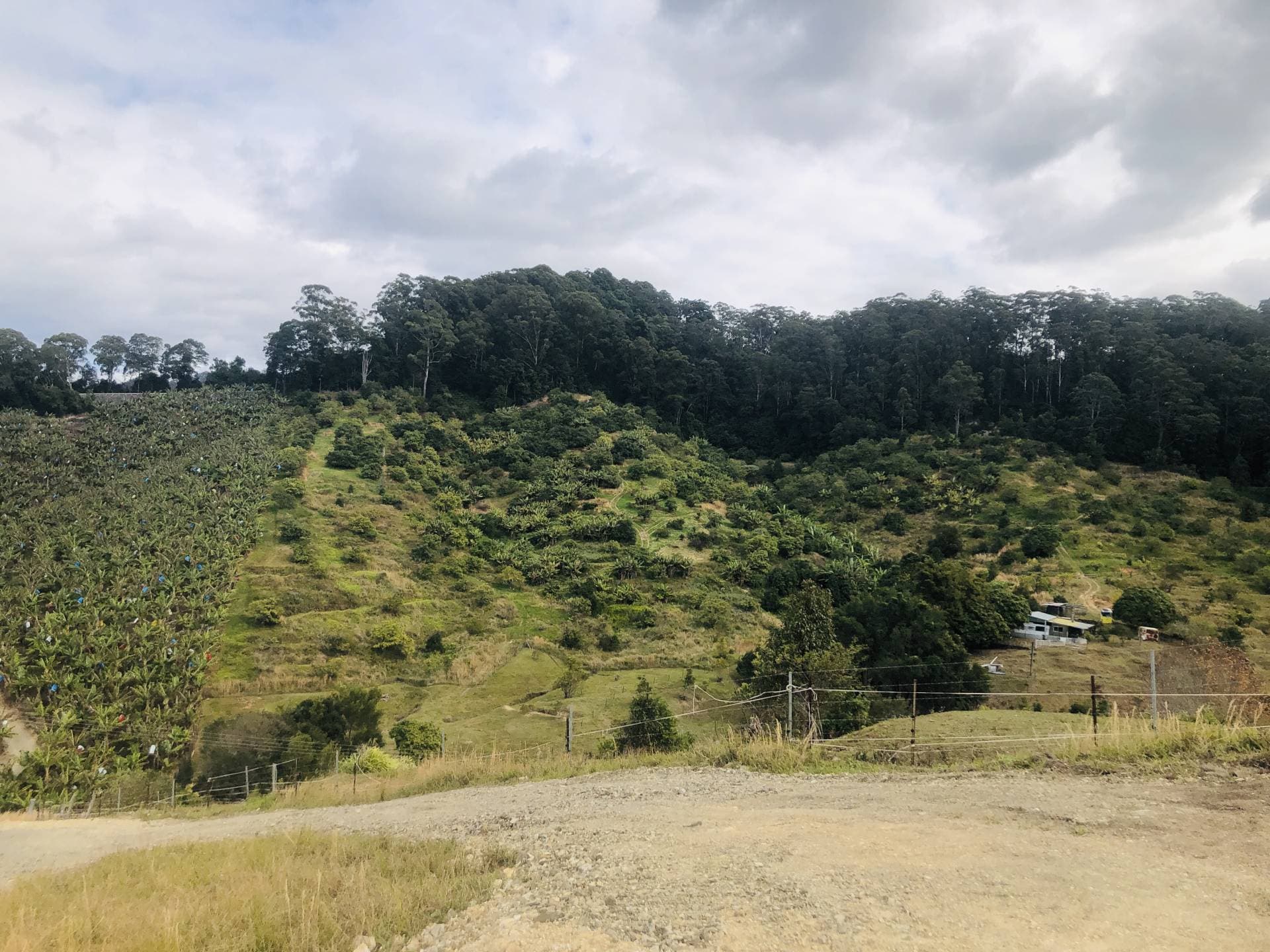 420e Coramba Road, Coffs Harbour - Thumbnail 2