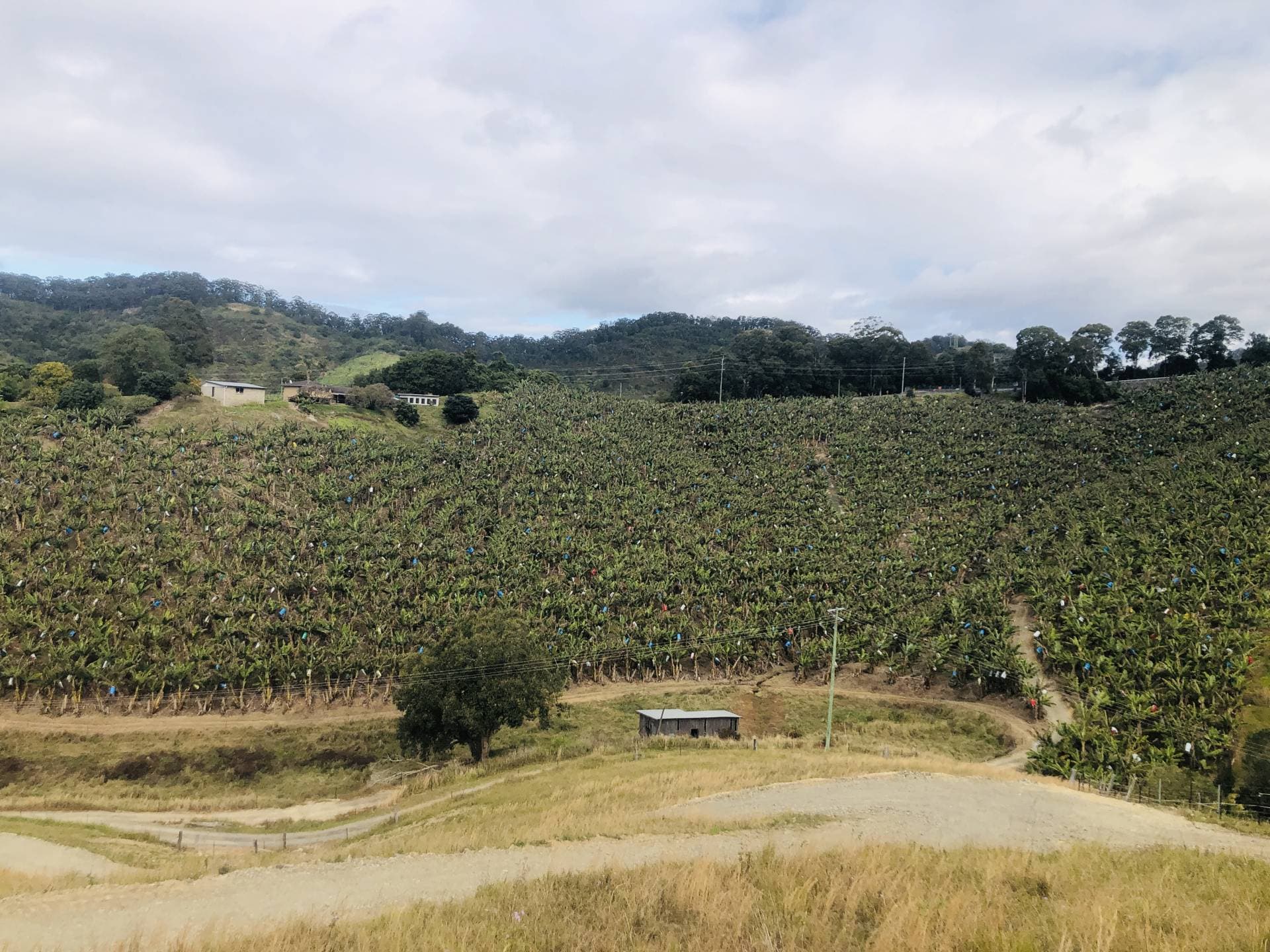 420e Coramba Road, Coffs Harbour - Thumbnail 3