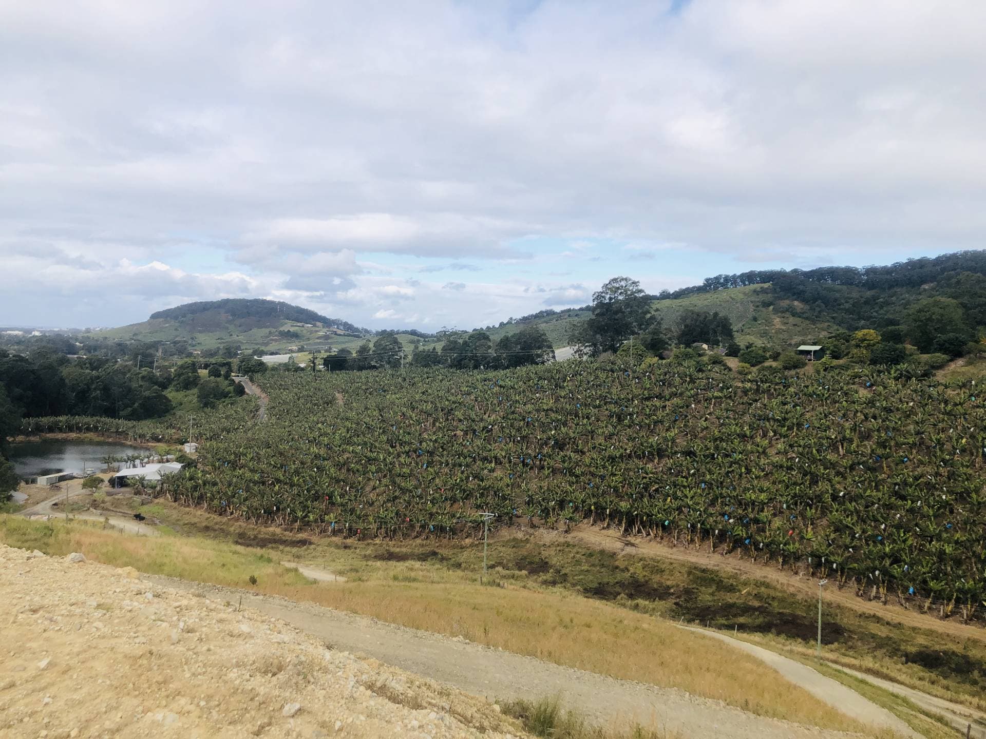 420e Coramba Road, Coffs Harbour - Thumbnail 4