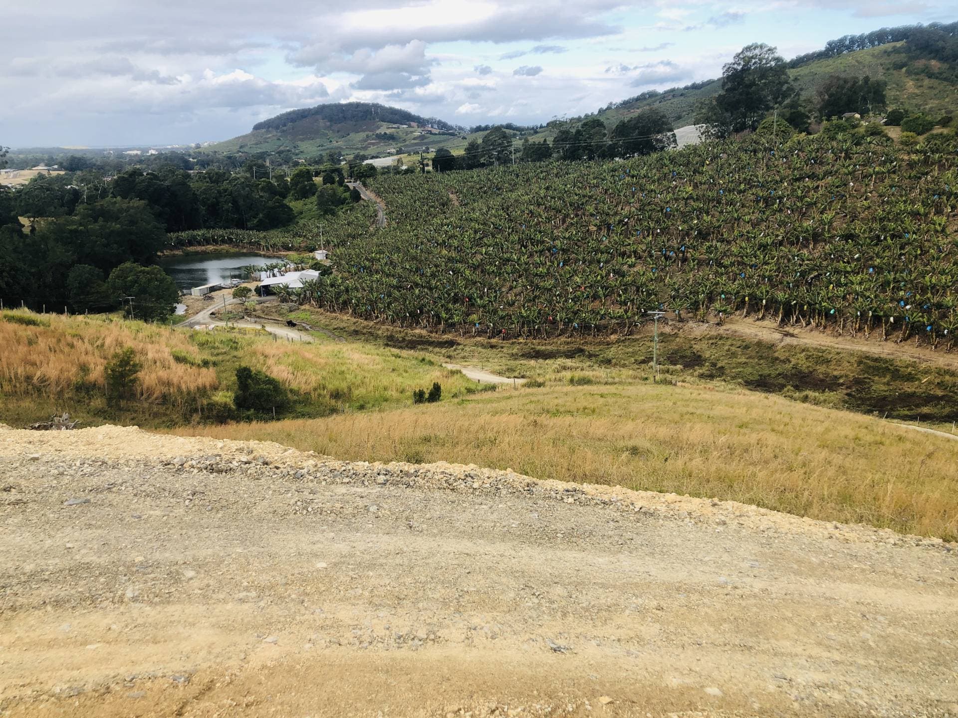 420e Coramba Road, Coffs Harbour - Thumbnail 7