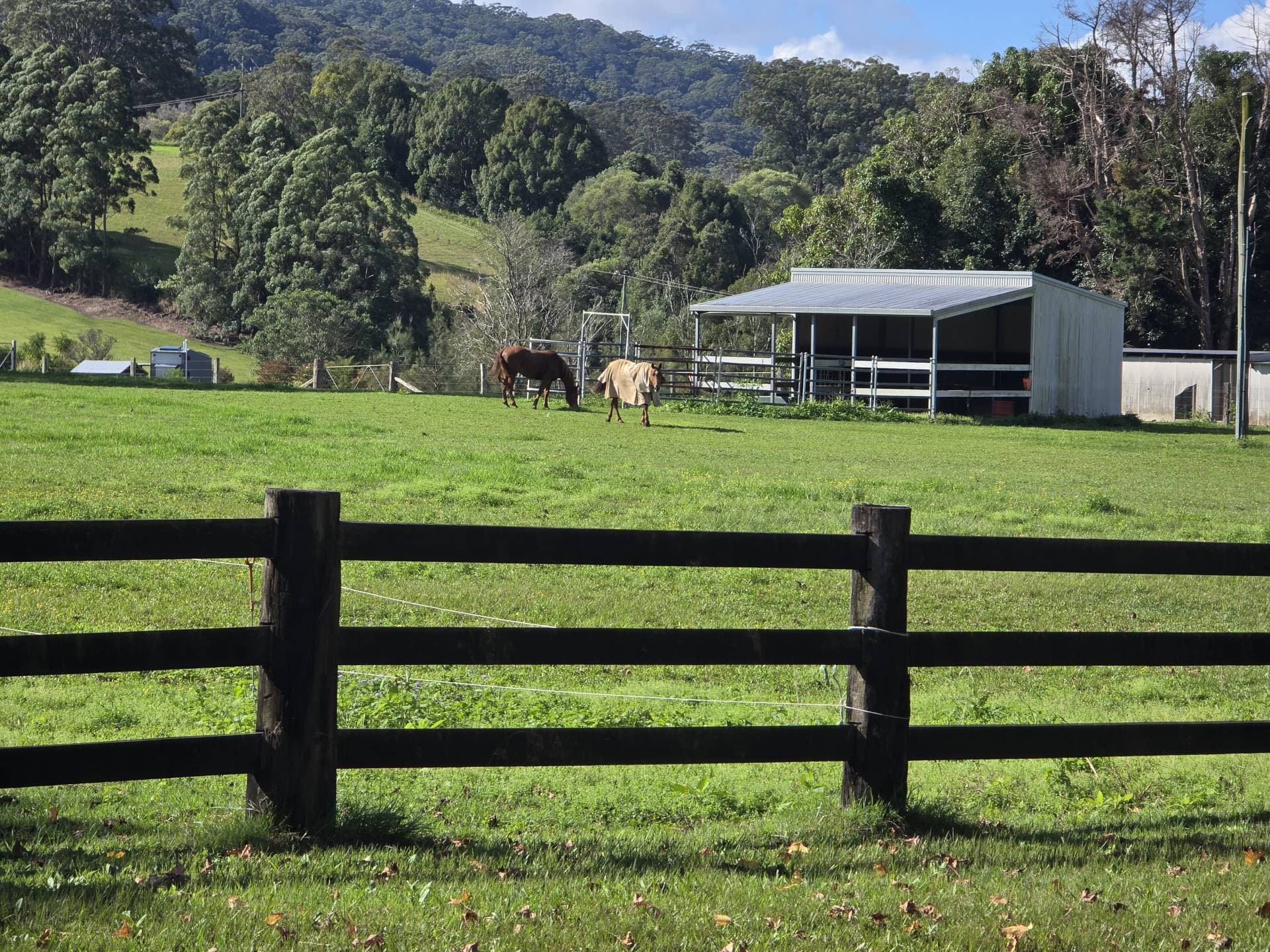 208 North Bonville Rd, Bonville - Thumbnail 3