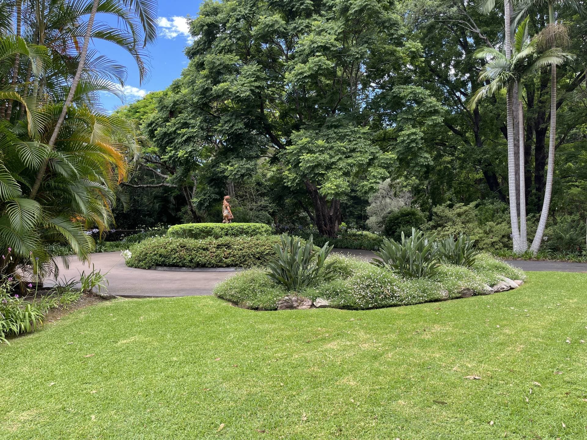 50 Middle Boambee Rd, Coffs Harbour - Image 1