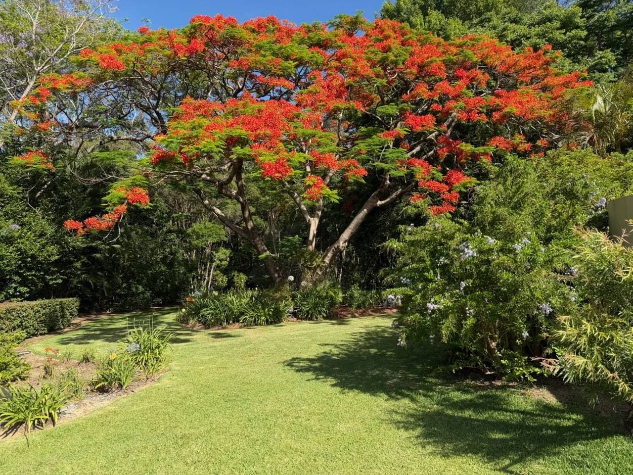 50 Middle Boambee Rd, Coffs Harbour - Thumbnail 2