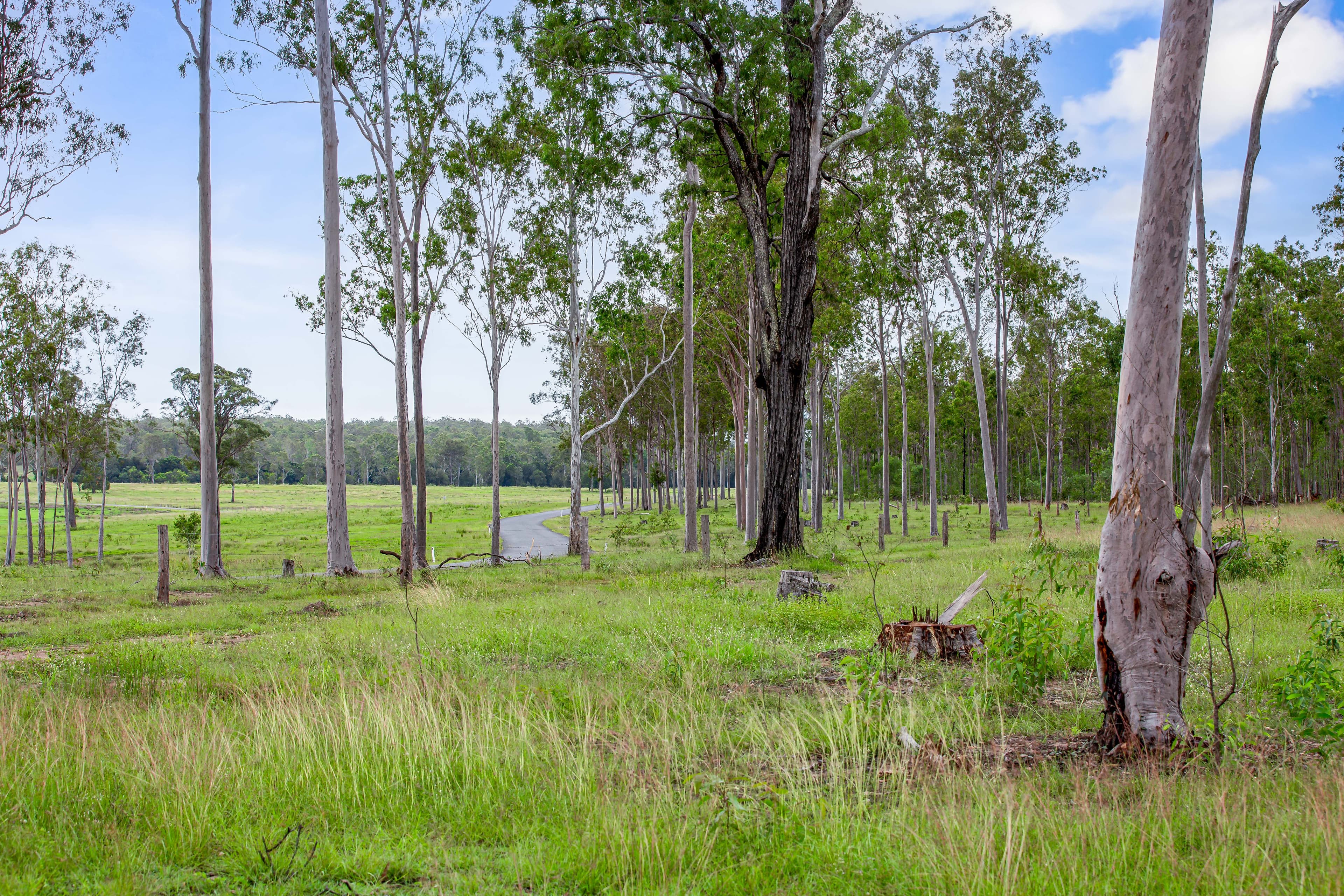 Lot 4, 128 Glen Echo Road Glen Echo, QLD, 4570,  - Image 1