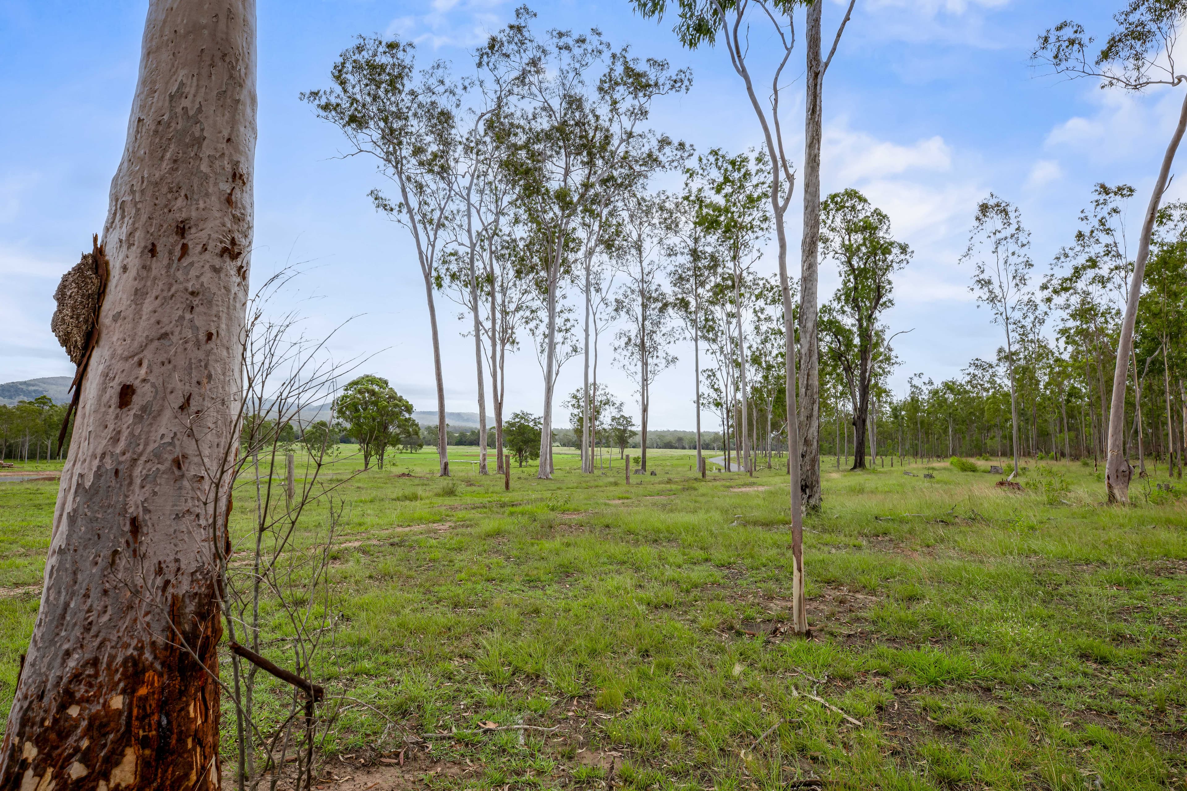 Lot 4, 128 Glen Echo Road Glen Echo, QLD, 4570,  - Thumbnail 2