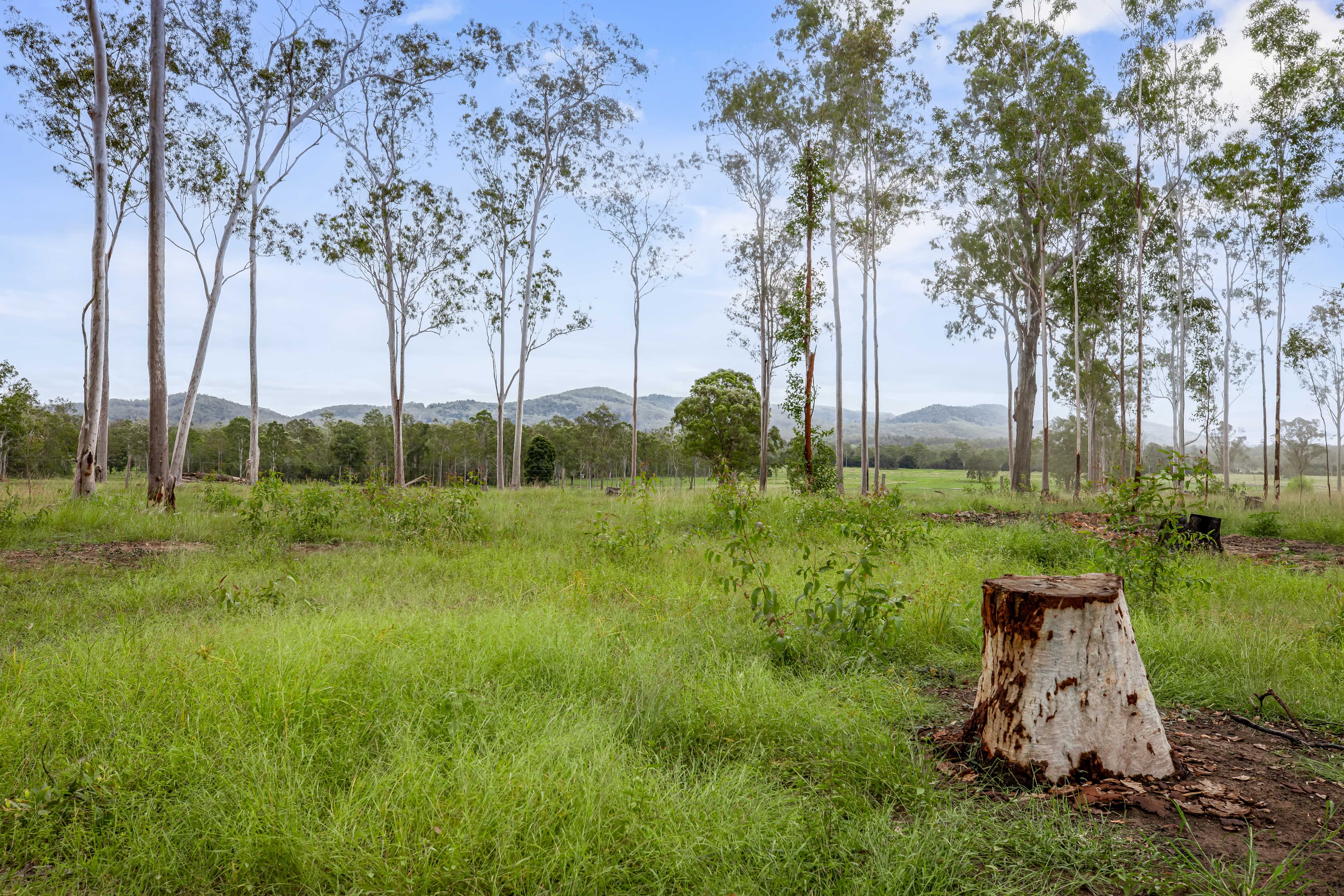 Lot 4, 128 Glen Echo Road Glen Echo, QLD, 4570,  - Thumbnail 4